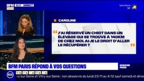 BFM Paris répond à vos questions: pouvez-vous récupérer un chiot dans un élevage pendant le confinement ? 