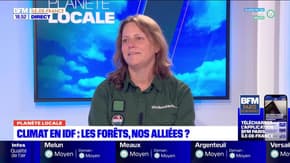 Planète locale Paris : Climat en IDF : Les forêts, nos alliées ?