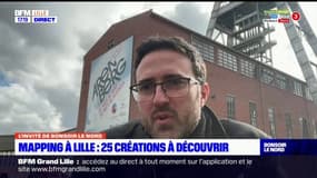 Lille: 25 créations à découvrir au Video Mapping Festival