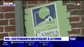 Pas-de-Calais: les étudiants s'exilent à la ferme
