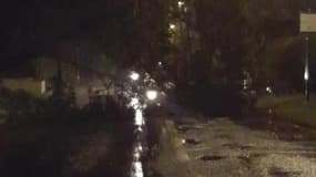 Tempête: Un arbre coupe une route à Fécamp, en Normandie - Témoins BFMTV