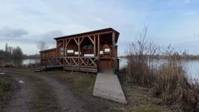 La ville de Strasbourg a installé un nouvel observatoire à oiseaux à la réserve naturelle de l'île du Rohrschollen.