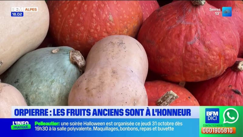 Orpierre: les fruits anciens sont à l'honneur