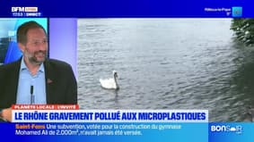 Planète Locale du mercredi 16 avril - Le Rhône gravement pollué aux microplastiques