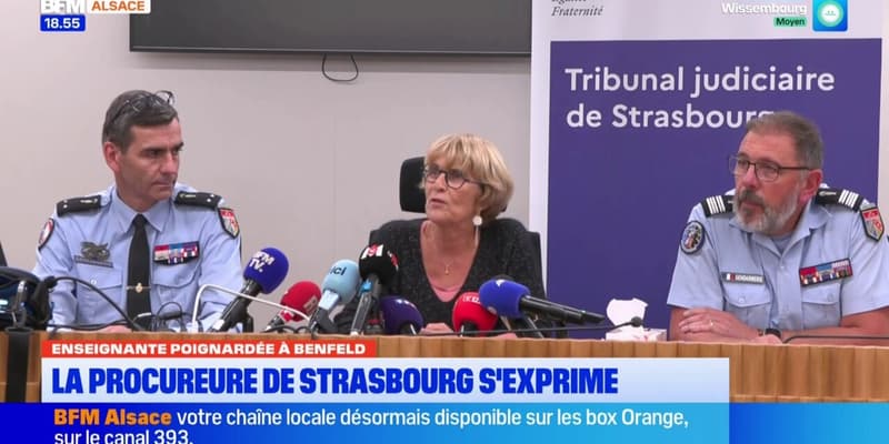 Enseignante poignardée en classe: "Il est assez méchant [...] Il dessinait des croix gammées en cours", témoigne une élève de 4e au collège Robert Schuman de Benfeld