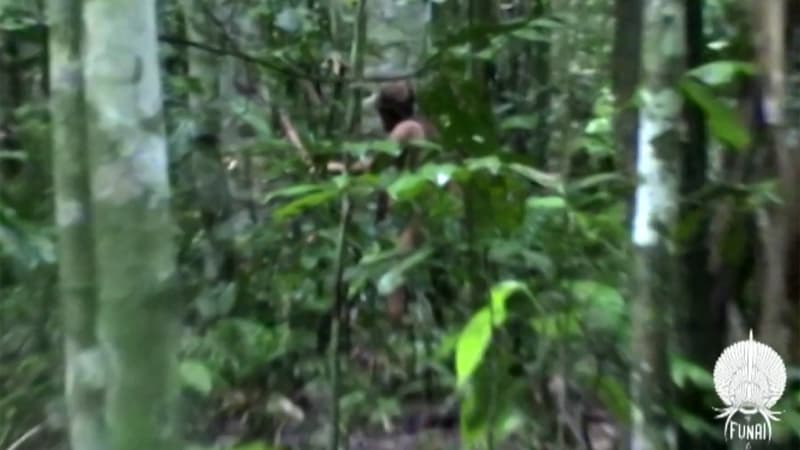 Après 26 ans seul en Amazonie, le dernier indigène d'une tribu disparue retrouvé mort