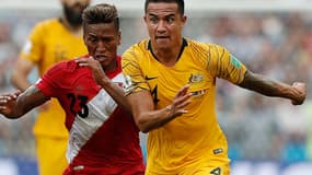 Tim Cahill