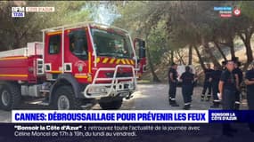 Cannes: opération débroussaillage pour lutter contre les départs de feu