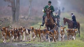 Une chasse à courre en 2013