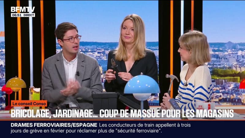 LE CONSEIL CONSO: Les ventes dans les domaines du bricolage et du jardinage sont en baisse