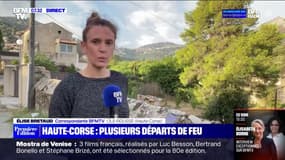 Incendie en Haute-Corse: le feu ne progresse plus 