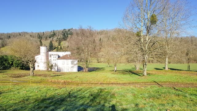 Le château de Nescu est à vendre