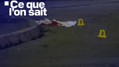 Un adolescent  de 15 ans a été tué de plusieurs balles dans la tête à Grasse (Alpes-Maritimes) vendredi 24 mai au soir. 