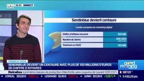 Sendinblue devient un centaure avec plus de 100 millions d'euros de chiffre d'affaires