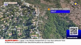 Alpes-Maritimes: un homme se blesse avec son arme lors d'un accident de chasse 
