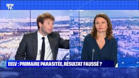 EELV: primaire parasitée, résultat faussé ? - 04/09