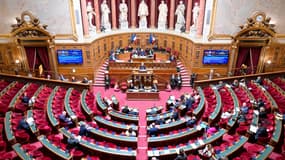 Vue de l'hémicycle du Sénat le 11 novembre 2024 