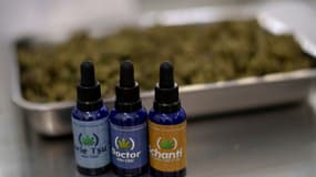 De l'huile de cannabis à usage médical à la ferme de l'association Apepi, le 9 septembre 2021 à Paty do Alferes, près de Rio de Janeiro, au Brésil
