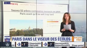 #ParisScan: abattage d'arbres, bétonisation… ces projets qui fâchent les écologistes à Paris