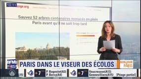 #ParisScan: abattage d'arbres, bétonisation… ces projets qui fâchent les écologistes à Paris