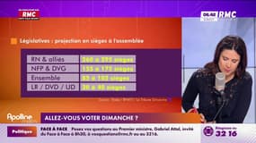 A vous de nous dire : Allez-vous voter dimanche ? - 28/06
