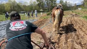 A Céüselles, la terre est travaillée de manière éco-responsable.