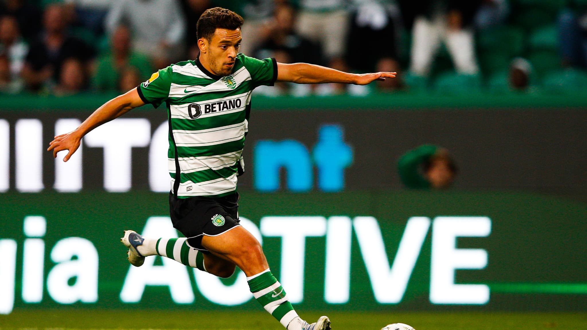 Pedro Gonçalves Pedro Gonçalves