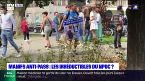 Manifestations anti-pass sanitaire: 3500 personnes mobilisées à Lille