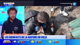 Planète Locale du mercredi 21 mai - Les bienfaits de la nature en ville