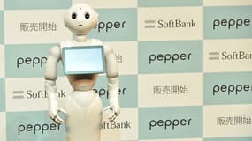 SoftBank, qui commercialise le robot humanoïde Pepper, a précisé qu'il était interdit de pratiquer des actes lubriques avec ce dernier.