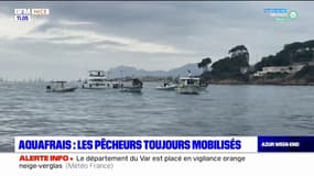 Alpes-Maritimes: les pêcheurs restent mobilisés contre l'extension d'une ferme aquacole
