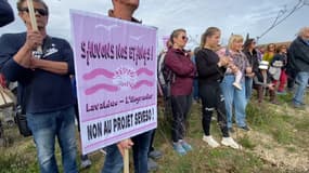 Des manifestants rassemblés dimanche 17 mars à Fos-sur-Mer pour protester contre l'implantation de 500 hectares de panneaux photovoltaïques sur les étangs.