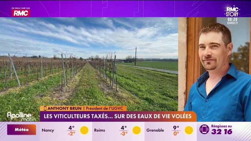 Viticulteurs taxés sur des eaux de vie volées: "Certains risquent de mettre la clé sous la porte"