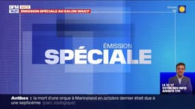 "Créer une vitrine mondiale des entreprises qui sont particulièrement dans l'IA" , Marco Landi présente le salon WAICF 