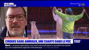 Pas-de-Calais: une charte pour mieux informer autour des cirques avec animaux savages