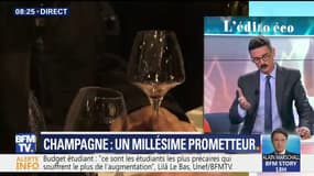 Champagne : un millésime prometteur 