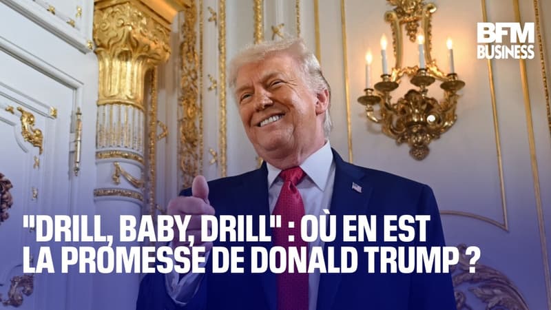 "Drill, baby, drill" : où en est la promesse de Donald Trump ?