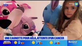 Grand Lille: une cagnotte pour financer les soins d'une fillette de 5 ans atteinte d'un cancer