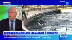"Une mauvaise nouvelle économique et pour les animaux": le maire d'Antibes revient sur la fermeture annoncée de Marineland
