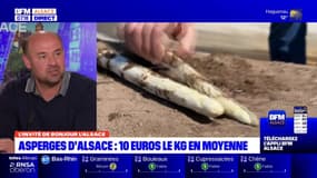 Alsace: la saison des asperges de la région bat son plein