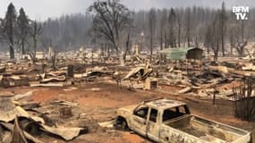 En Californie, le village de Greenville entièrement détruit par le "Dixie Fire"