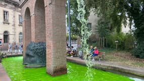 La fontaine de Janus place Broglie à Strasbourg