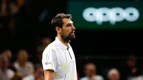 Chardy