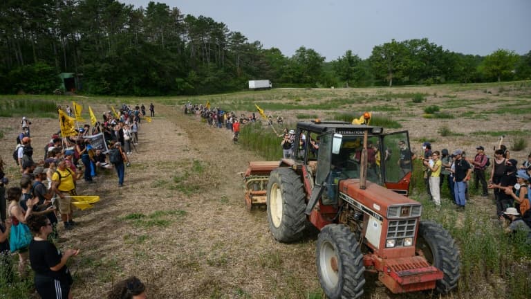 Des membres de la Confédération Paysanne plantent des arbres près d'un campement de militants opposés à l'autoroute A69, près de Puylaurens, le 8 juin 2024