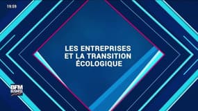 Hors-Série Les Dossiers BFM Business : Les entreprises et la transition écologique - Samedi 6 juin