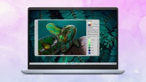 Plus de 300 euros de réduction sur ce PC portable de la marque DELL, il n'y en aura pas pour tout le monde