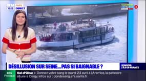 Paris: une qualité de l'eau de la Seine "alarmante" selon une ONG