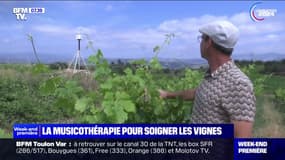 Des notes de musique pour soigner les vignes dans l'un des départements les plus secs de France