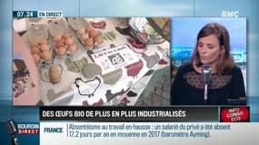 Oeufs Bio: la forte demande entraîne-t-elle des dérives des conditions de production?