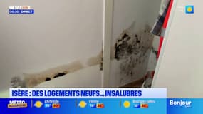 Dans le Nord-Isère, des logements sociaux neufs sont déjà insalubres